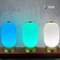 Smart Lantern Tafellamp Decoratief Tuya APP Alexa Google Smart WiFi LED-licht